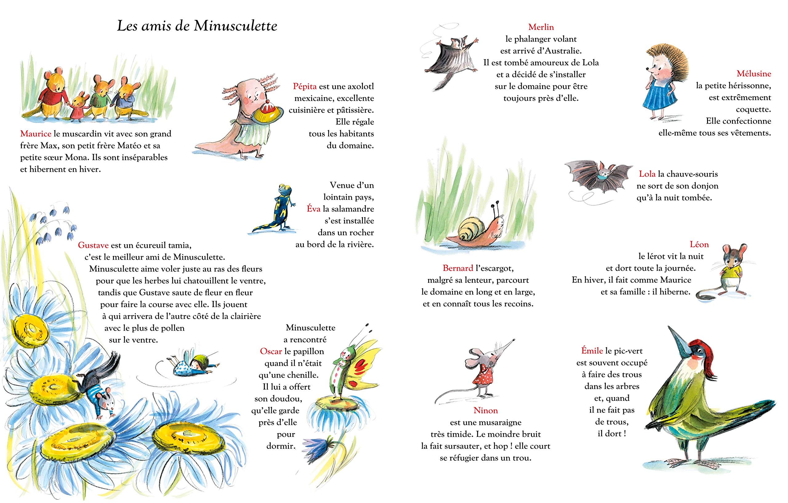 Le grand livre de Minusculette